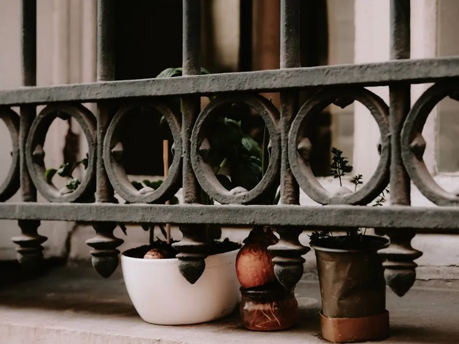 Illustration : Potager sur balcon : le guide débutant
